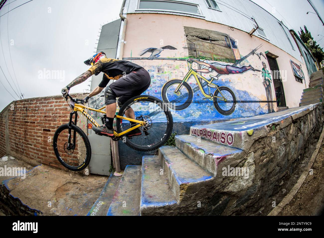 Urban downhill 2019 discount