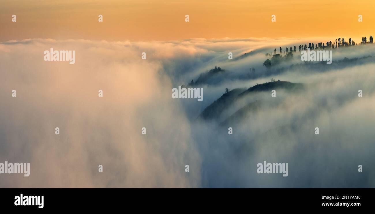 Trees in the Fog. Autumn morning. Nature of Ukraine Stock Photo