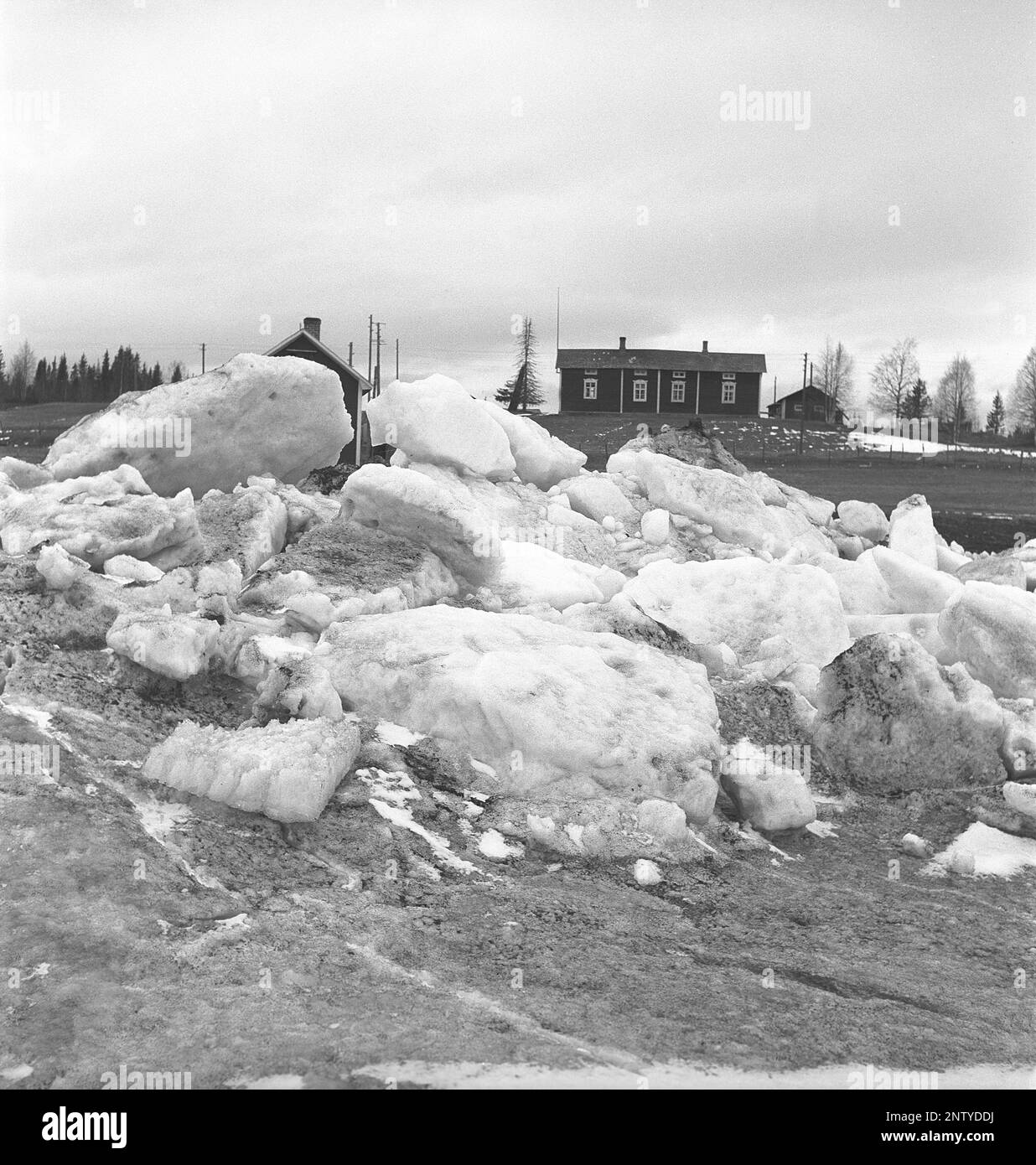 Natural disaster in the 1940s. In the early summer 20-23 may 1944, the water in the river Torne älv flooded over due to a mass of ice that dammed the water 3,5 meters higher than normal. The consequences were severe. On the surrounding grounds meters of ice was left behind when the water drained away and destroyed farm buildings and covering the fields. The village Korpikylä near Skogskärr and it's lower grounds covered in ice and the houses up higher that luckily escaped the ice. Kristoffersson ref H122-2 Stock Photo