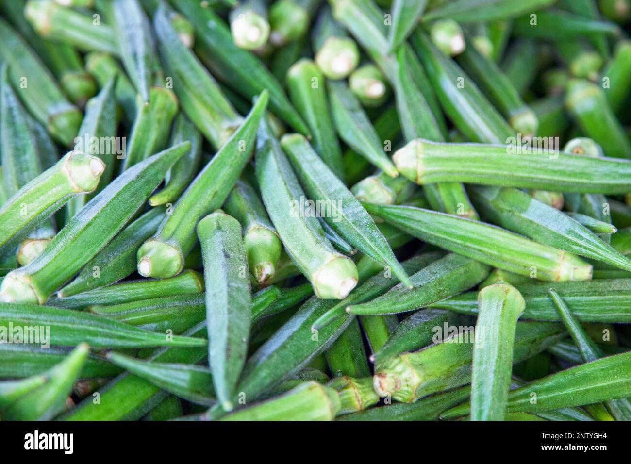 Close-up on a stack of okras for sale on a market stall. Stock Photo