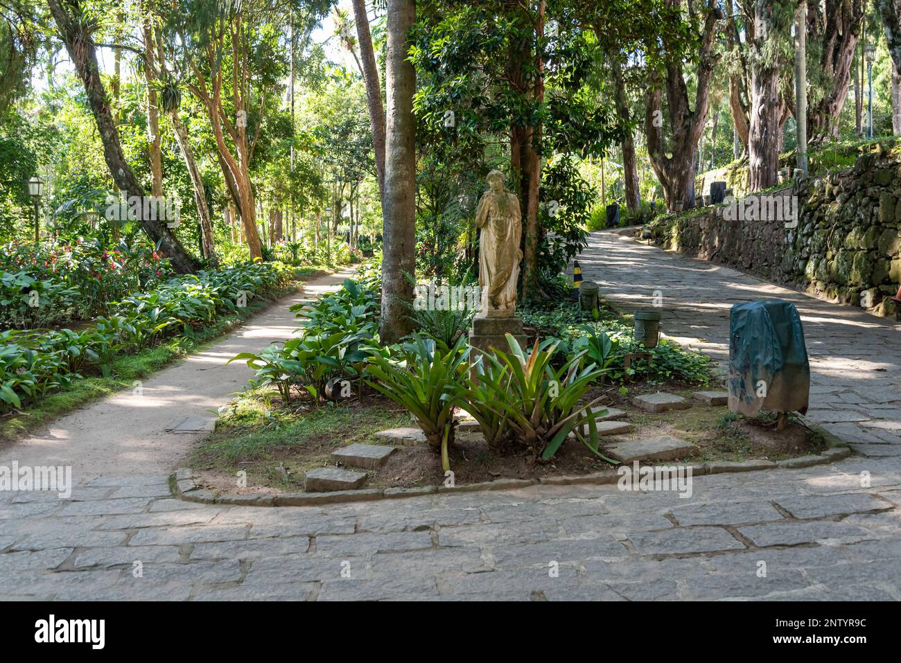 Path among trees in tropical garden in Brazil Stock Photo