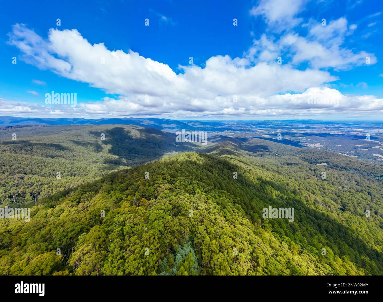 Summer Landscape at Mt St Leonard in Australia Stock Photo