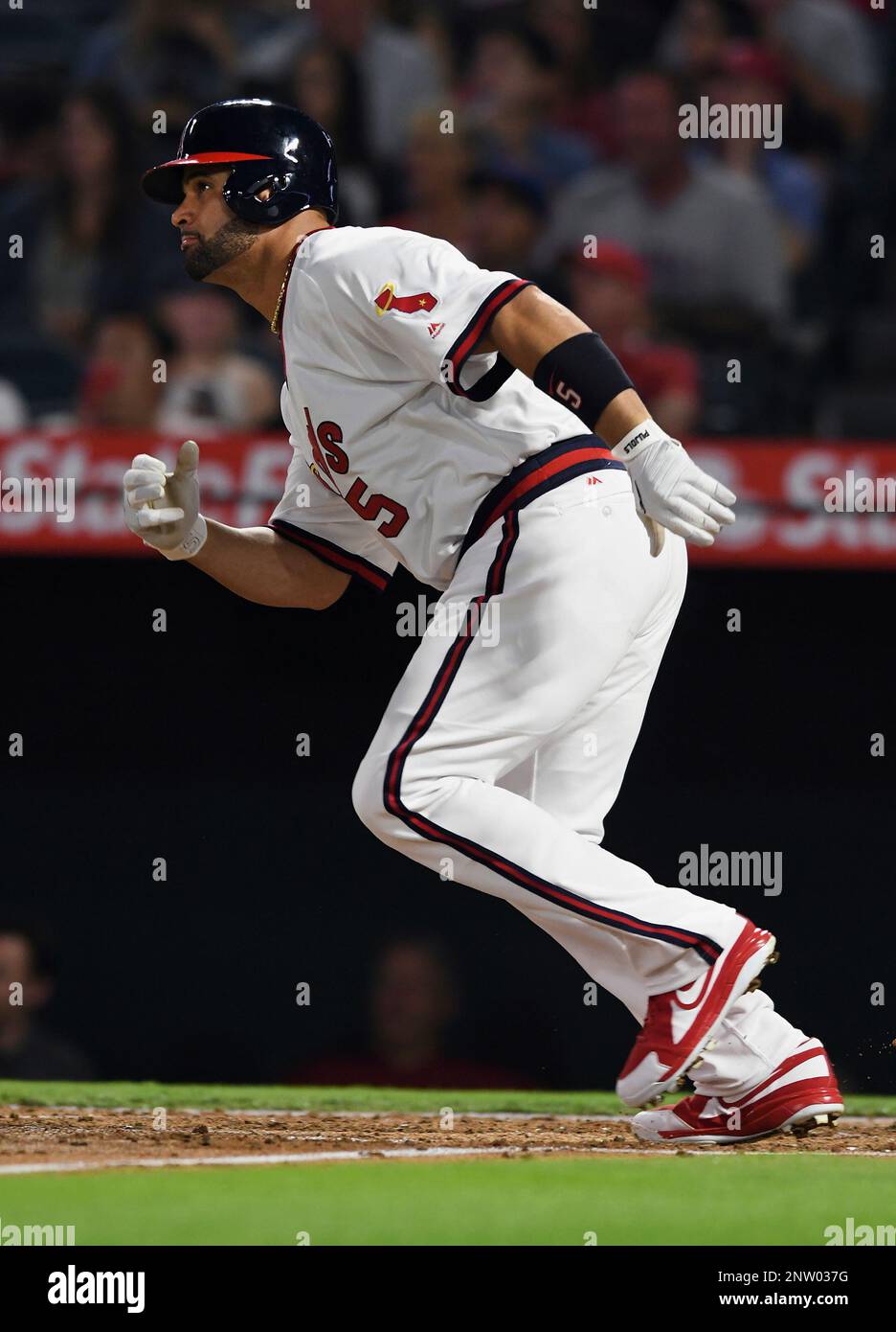 ANAHEIM, CA - AUGUST 27: Los Angeles Angels of Anaheim first baseman Albert  Pujols (5) in a 1980s California Angels style uniform during an at bat in  the second inning of a