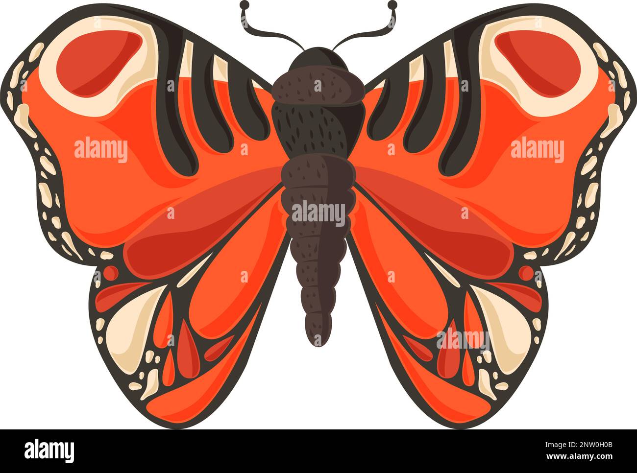 butterfly flat style Stock Vector Image & Art - Alamy