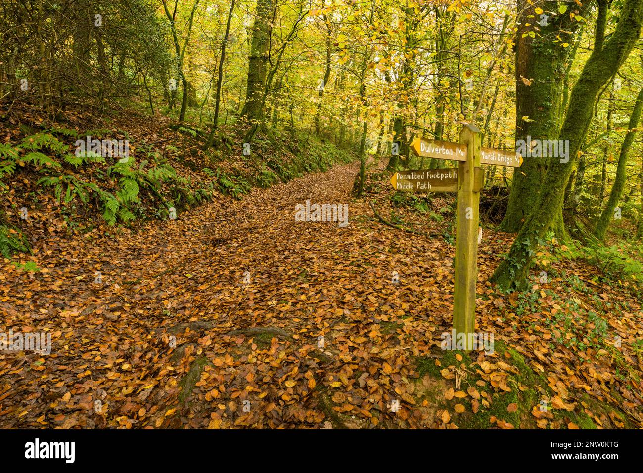 A footpath sign in an autumnal Old Berry Wood in the Barle valley near Burridge Woods at Dulverton, Exmoor National Park, Somerset, England. Stock Photo
