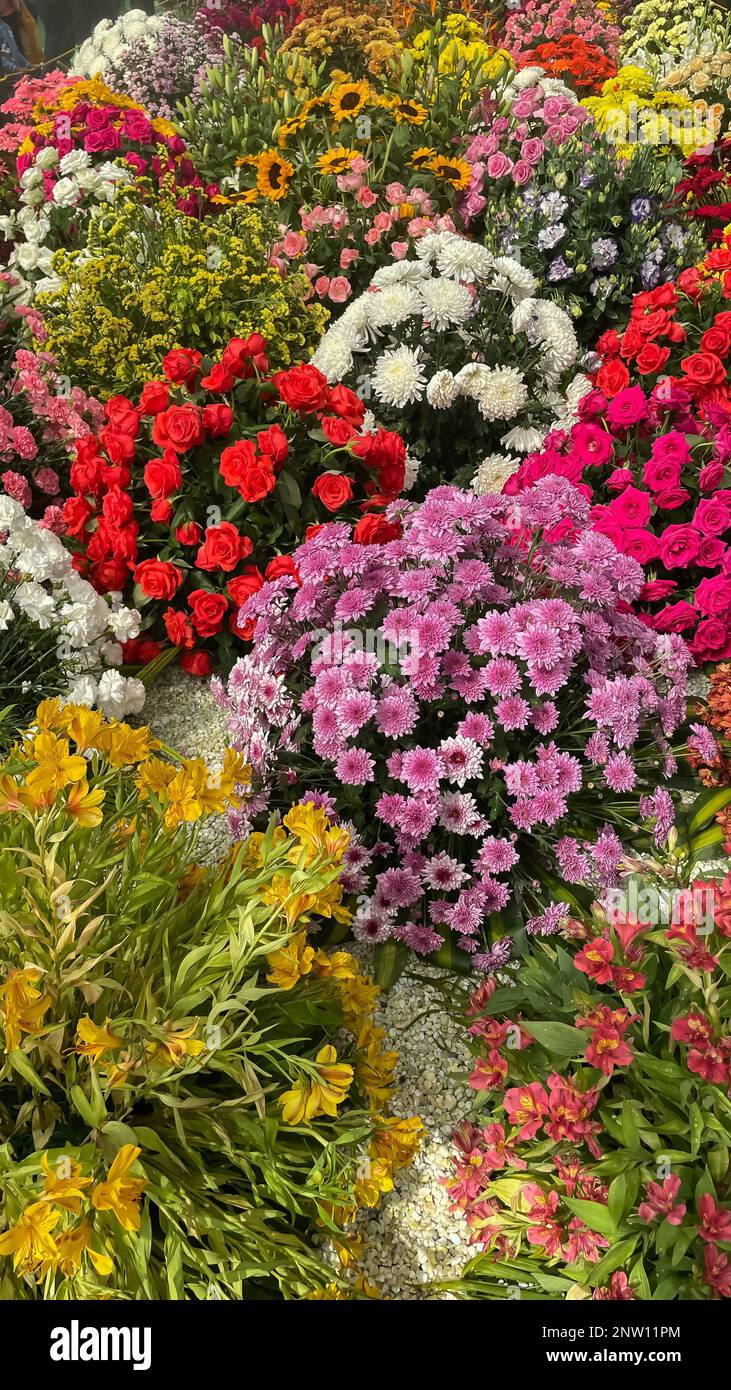 Selective focus image of flowers with variety of colors in a flower