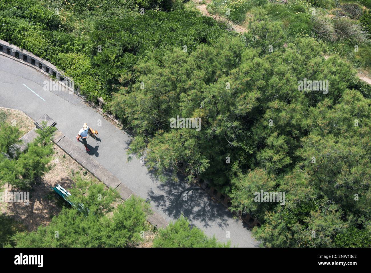 Aerial view of a man walking a dog along a park in Biarritz, France. Stock Photo