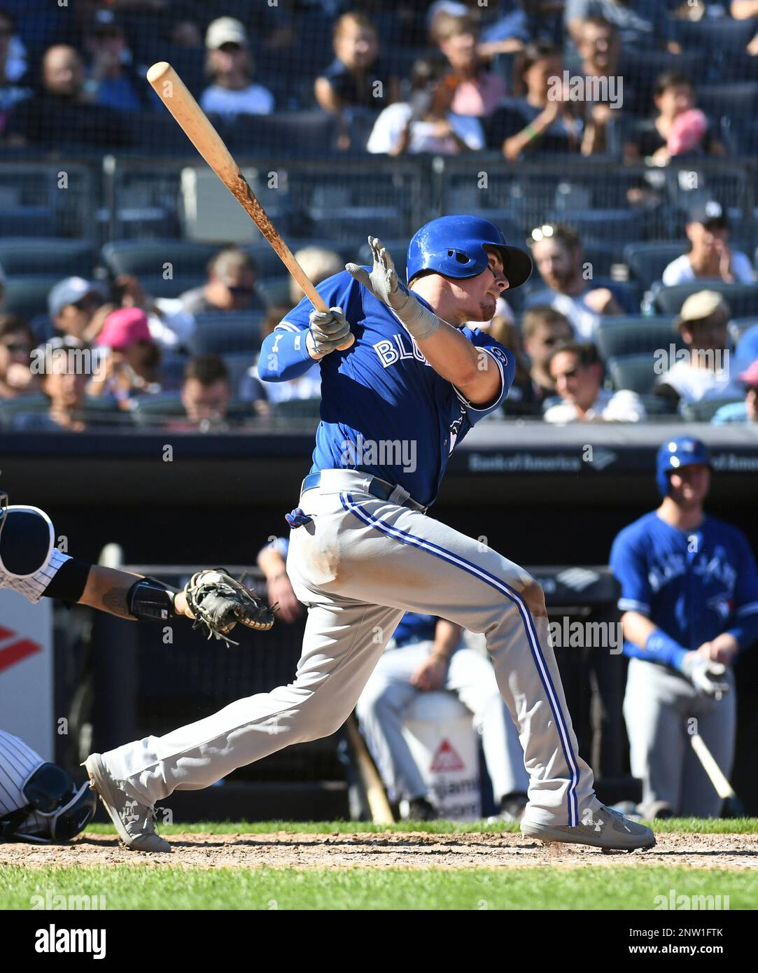 Toronto Blue Jays catcher Reese McGuire (70) during game against the