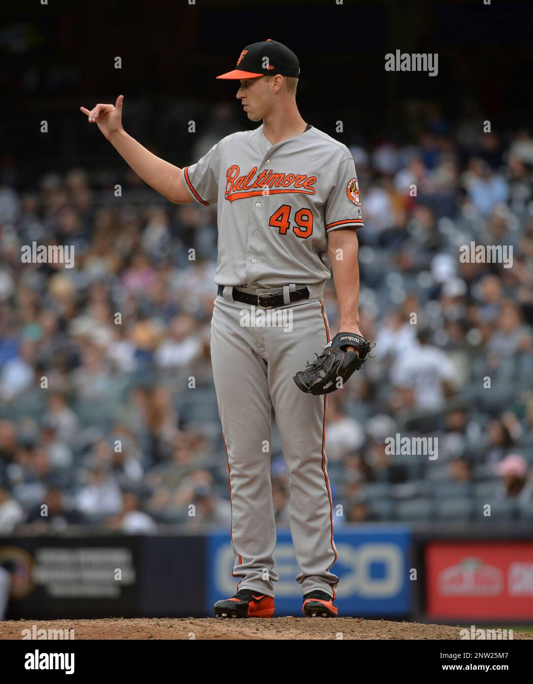 New York Yankees vs Baltimore Orioles at Yankee Stadium the Bronx New York  Stock Photo - Alamy