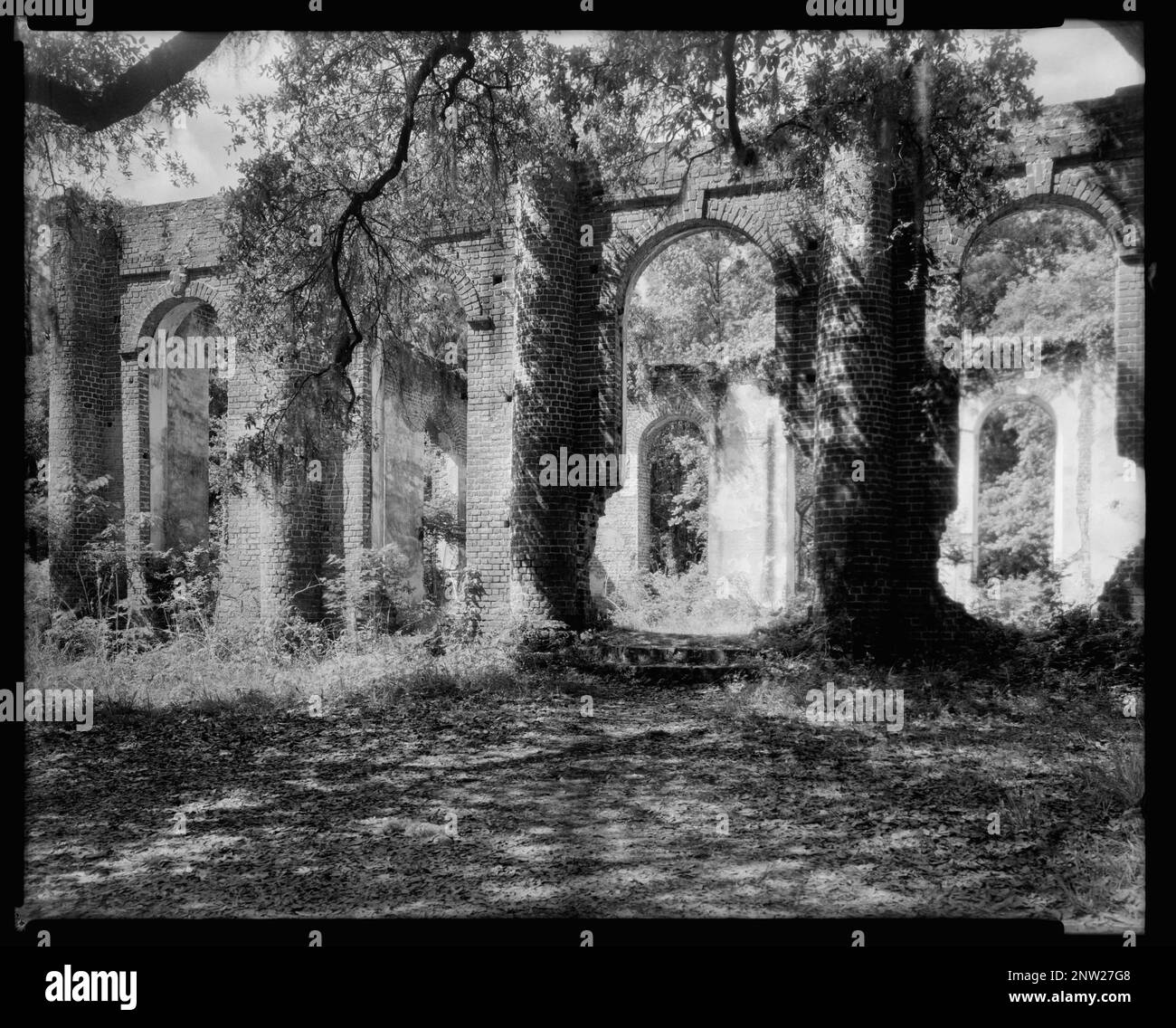 Sheldon Sc Prince William's Church, Sheldon Church (ruins), Sheldon, Beaufort ...