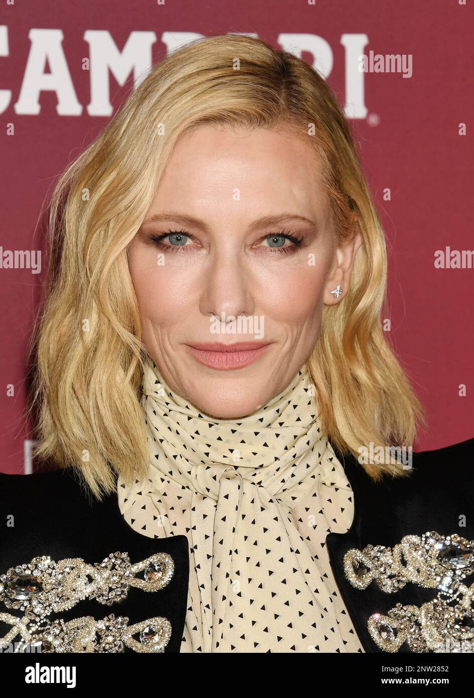 LOS ANGELES, CALIFORNIA - FEBRUARY 27: Cate Blanchett attends the 25th Annual Costume Designers Guild Awards at the Fairmont Century Plaza on February Stock Photo