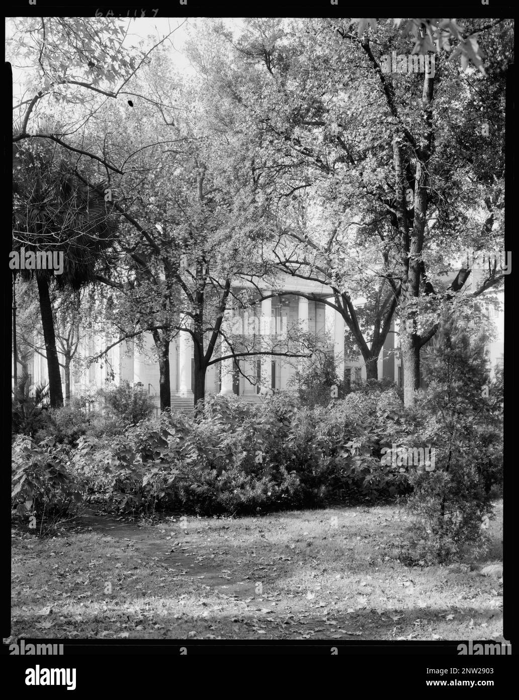 Colonial Park, Savannah, Chatham County, Georgia. Carnegie Survey of ...