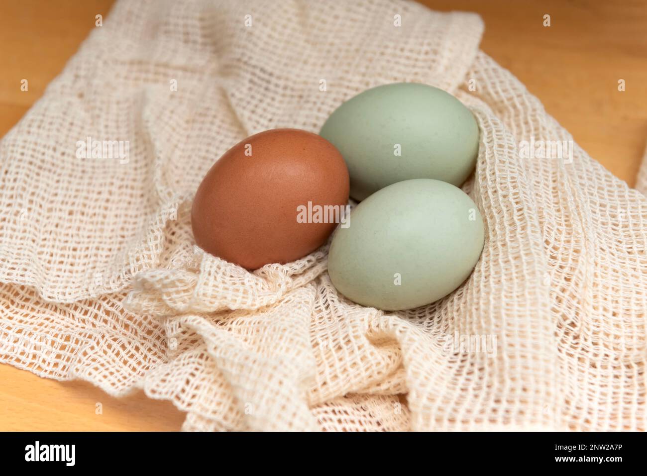 Bluebell Aurancana Eggs and brown egg Stock Photo