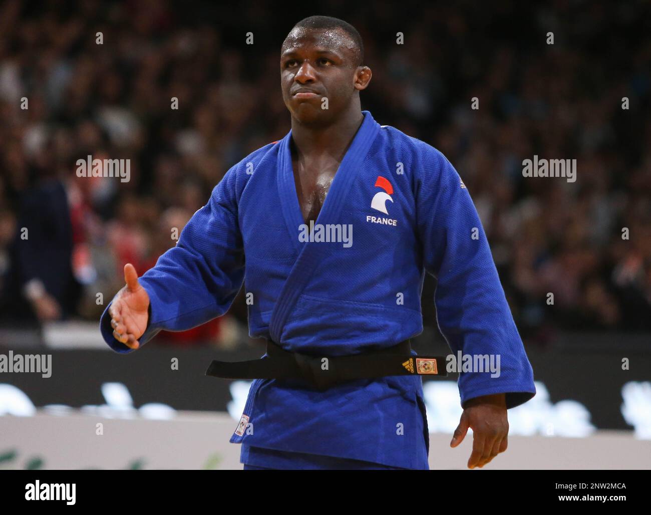 Judo : Agbegnenou, Riner, Dicko, Mkheidze… la Fédération a déjà choisi