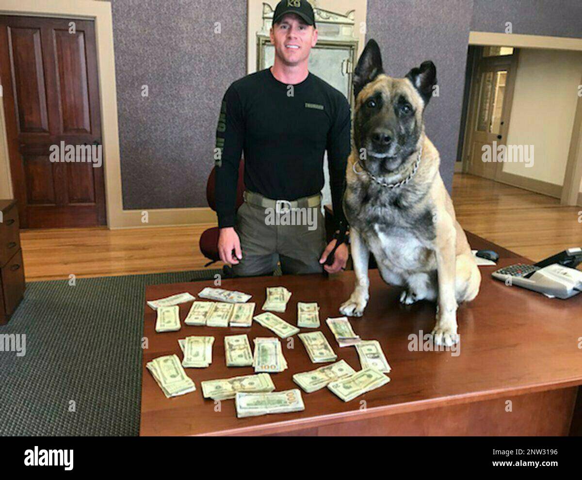 Fayette County Sheriff officer Sgt. Randy Thumann and his canine ...