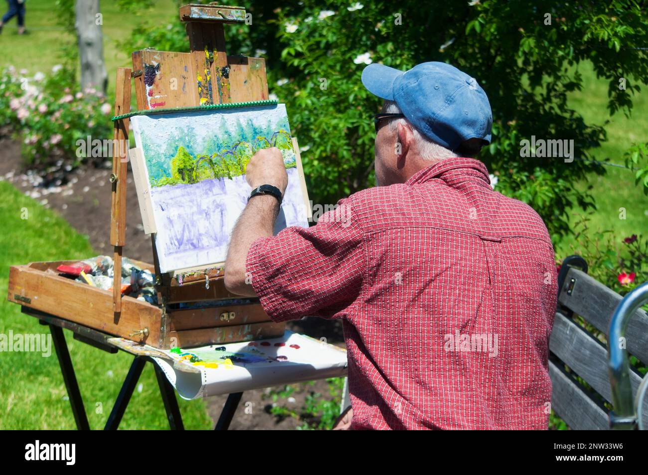 June 15, 2019.  West Hartford, Connecticut.  an older man painting the landscape in the summer rose garden at Elizabeth park in west hartford connecti Stock Photo