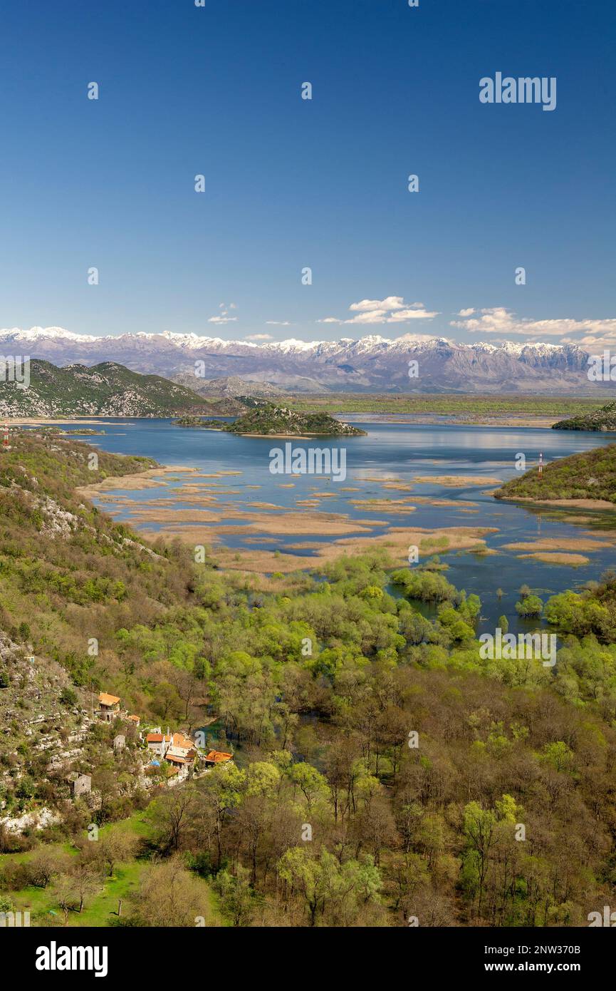 Postcard-pretty Lake Skadar lies on the border of Albania and Montenegro, and is the largest lake in Southern Europe. Stock Photo