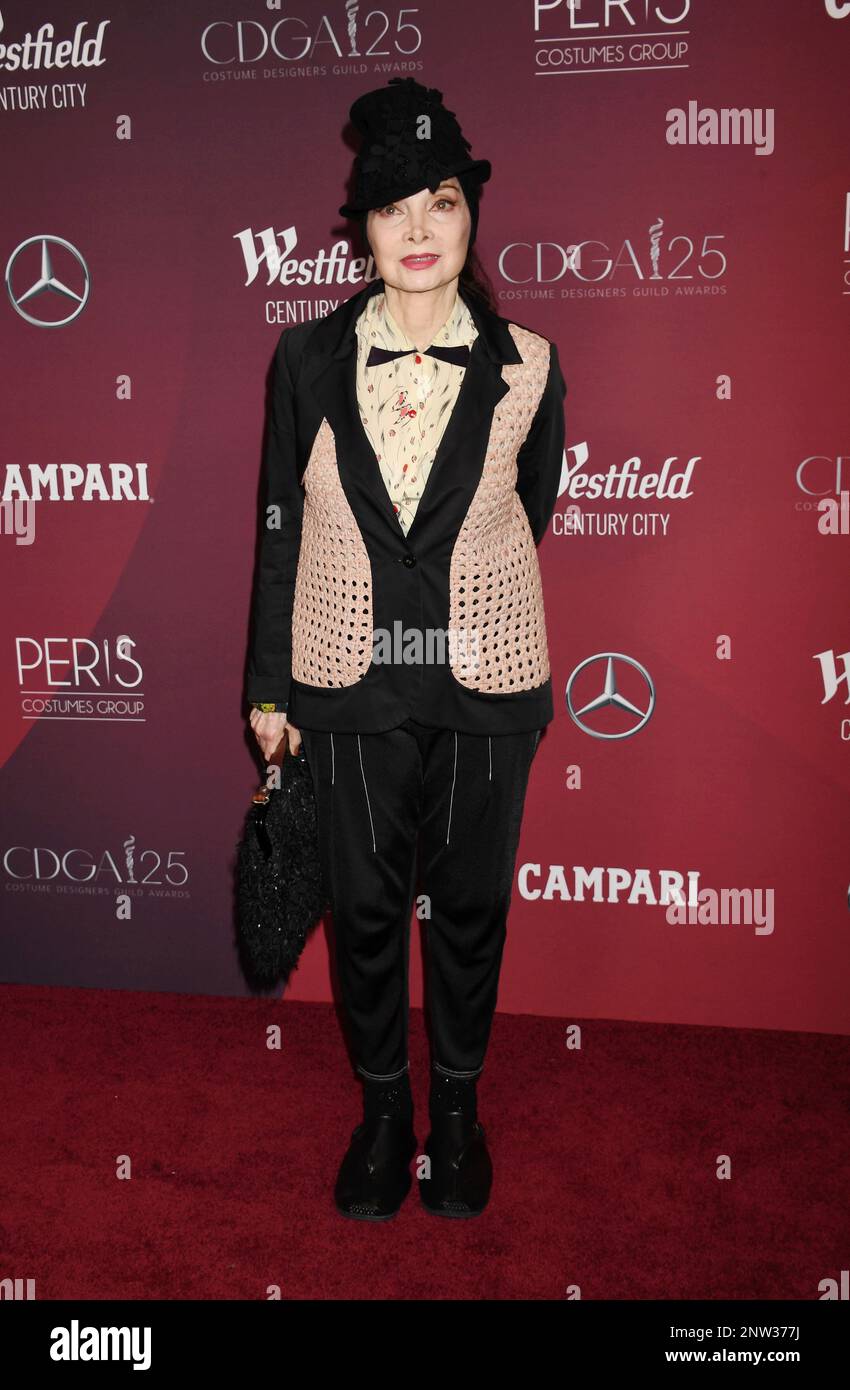 Los Angeles, California, USA. 27th Feb, 2023. Toni Basil attends the 25th Annual Costume Designers Guild Awards at the Fairmont Century Plaza on February 27, 2023 in Los Angeles, California. Credit: Jeffrey Mayer/Jtm Photos/Media Punch/Alamy Live News Stock Photo