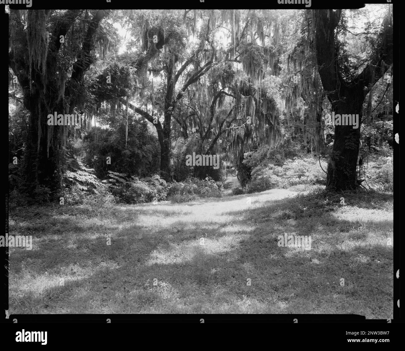 Hall House, New Iberia, Iberia Parish, Louisiana. Carnegie Survey of