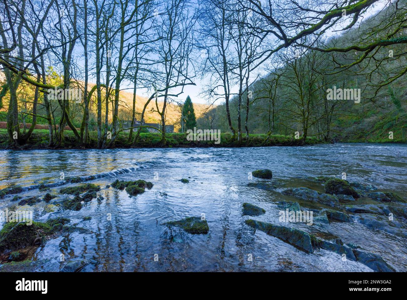 The River Barle on the edge of Burridge Woods near Dulverton in the Exmoor National Park, Somerset, England. Stock Photo