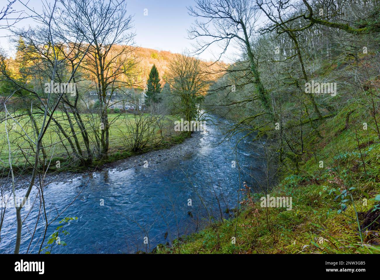 The River Barle from Burridge Woods near Dulverton in the Exmoor National Park, Somerset, England. Stock Photo