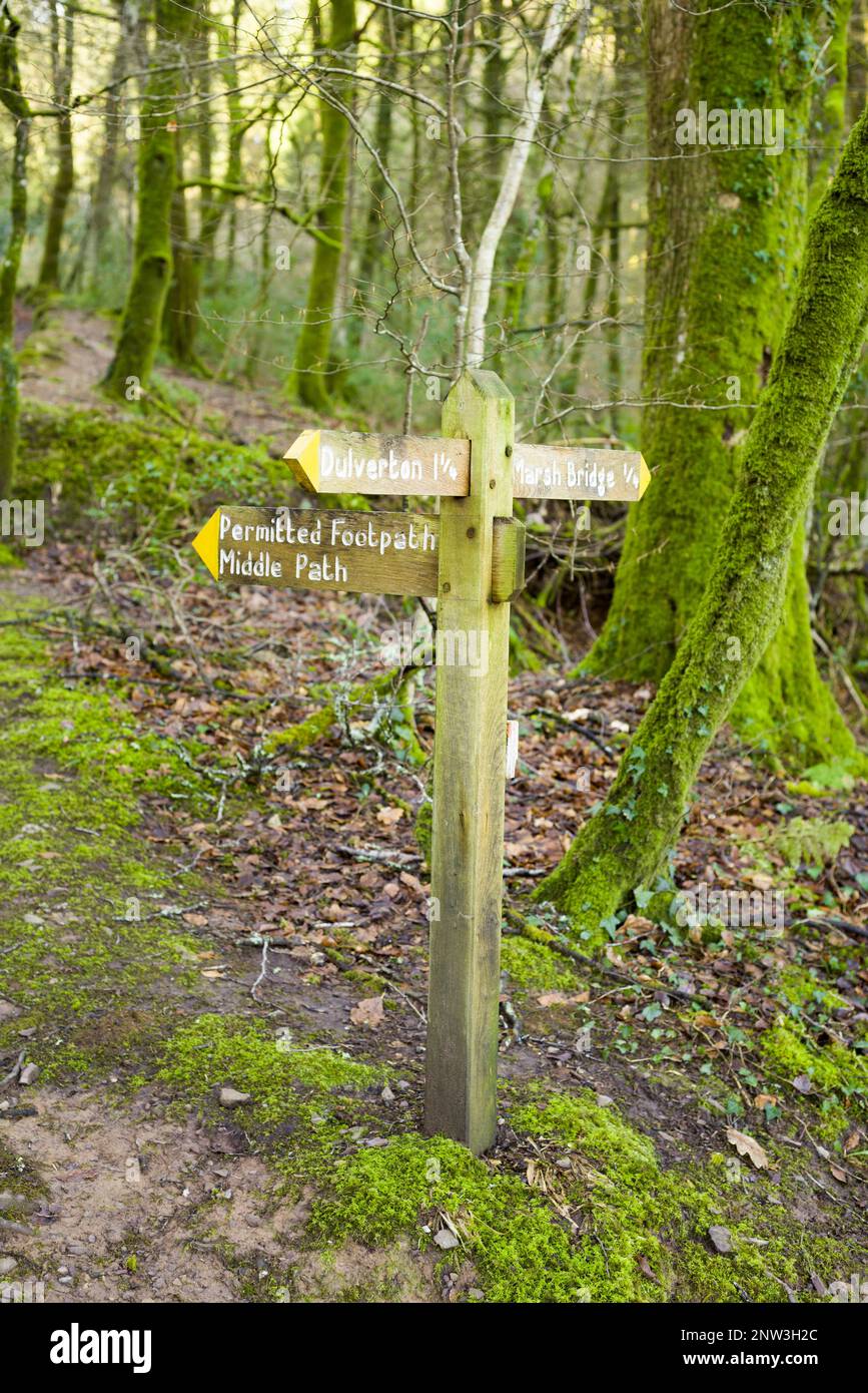 A footpath signpost in woodland in the Barle Valley near Dulverton in the Exmoor National Park, Somerset, England. Stock Photo