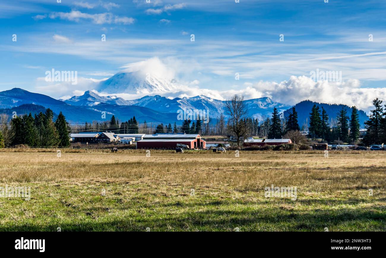 A view of the countryside and Mount Rainier in Enumclaw, Washington. Stock Photo