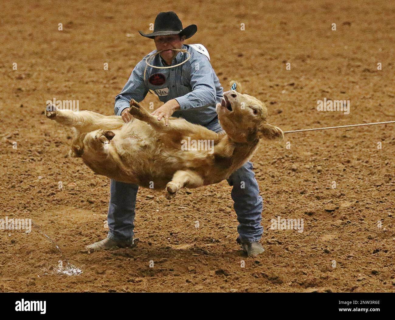 D. J. Parker of Hollister, CA., competes in tie down roping during the