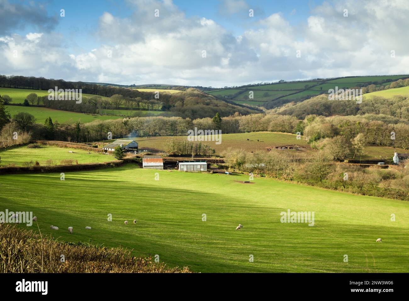 The Barle Valley near Dulverton in the Exmoor National Park, Somerset, England. Stock Photo