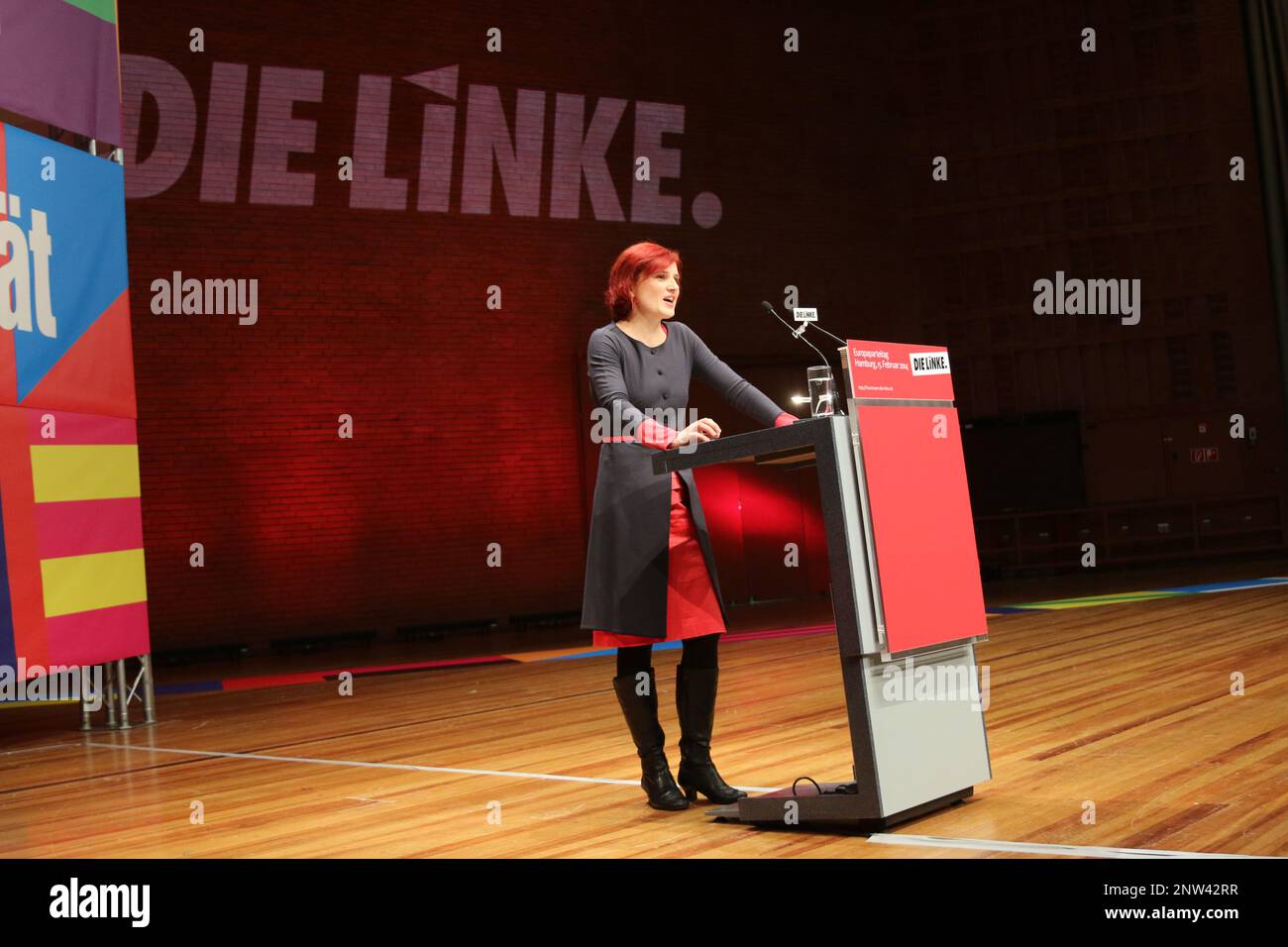 Katja Kipping auf dem Parteitag der LINKEN 2014 in Hamburg Stock Photo
