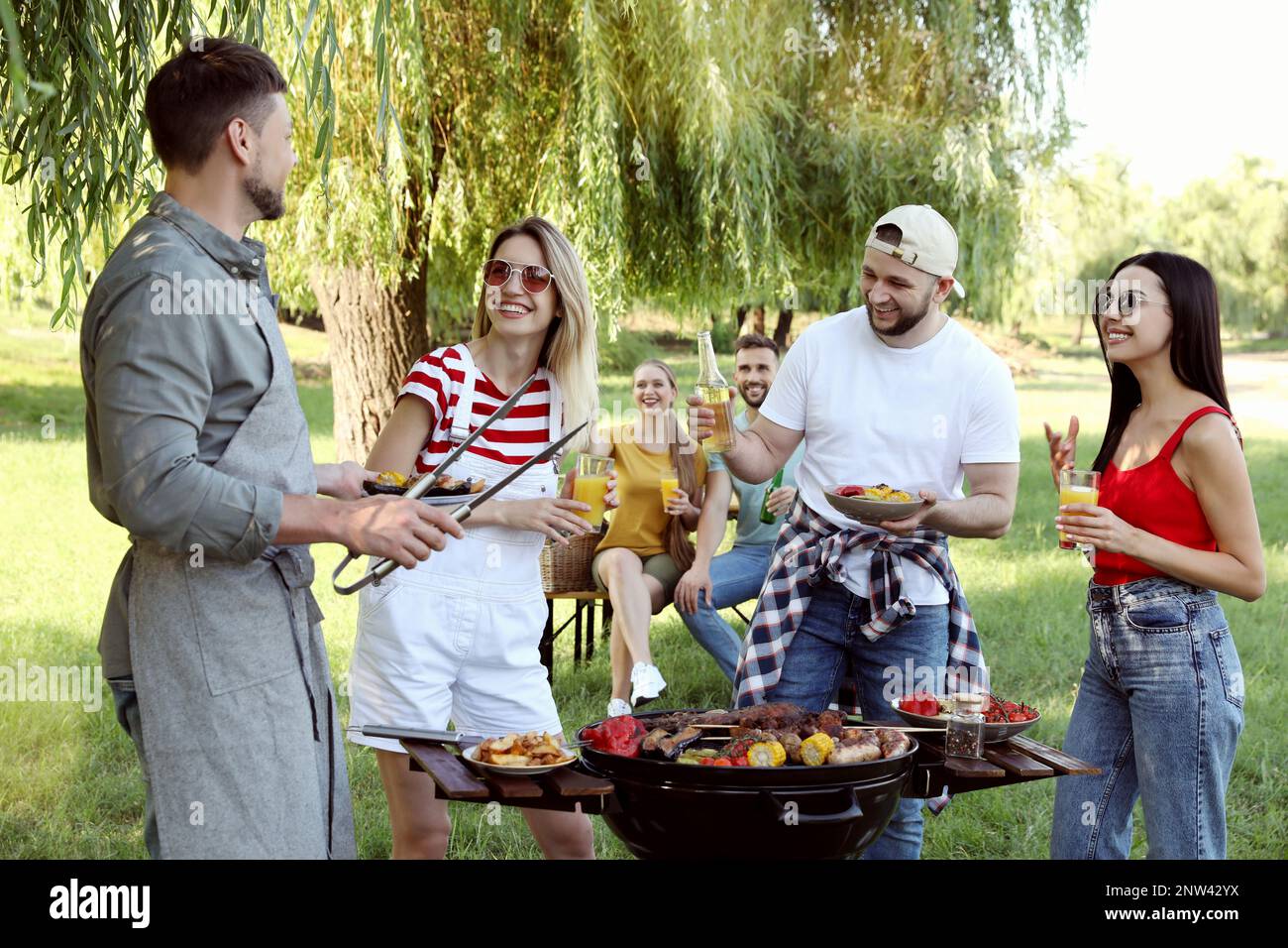 Group of friends having barbecue party in park Stock Photo - Alamy