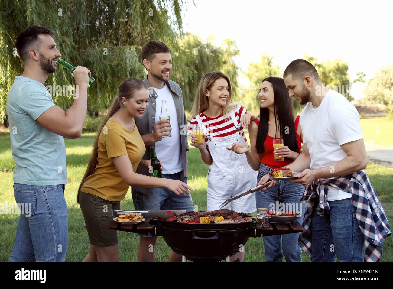 Group of friends having barbecue party in park Stock Photo - Alamy