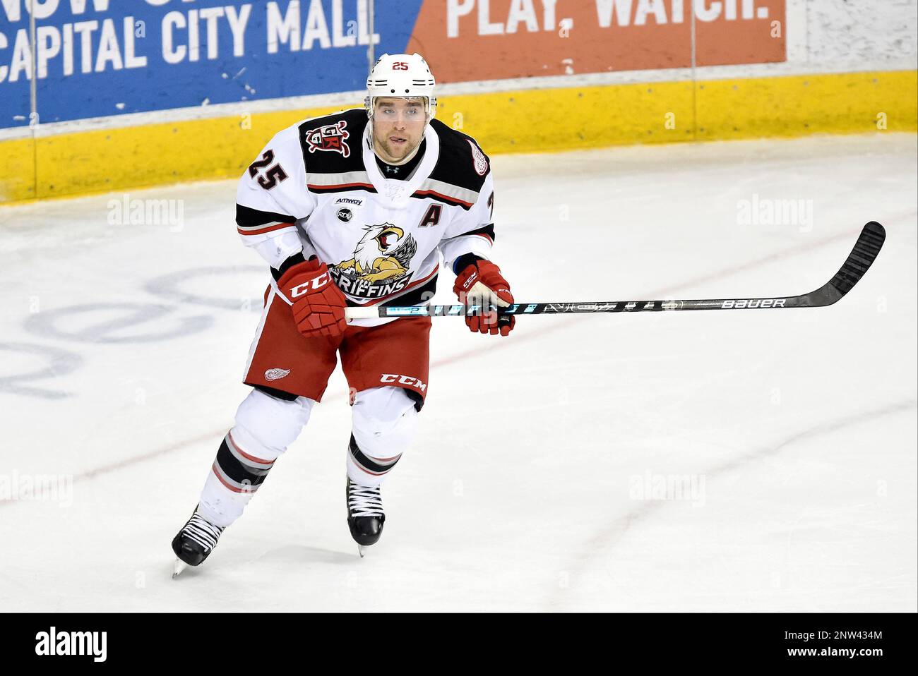 HERSHEY, PA - JANUARY 05: Hershey Bears center Mike Sgarbossa (17) skates  in the offensive zone during the Grand Rapids Griffins vs. Hershey Bears  AHL game at the Giant Center in Hershey