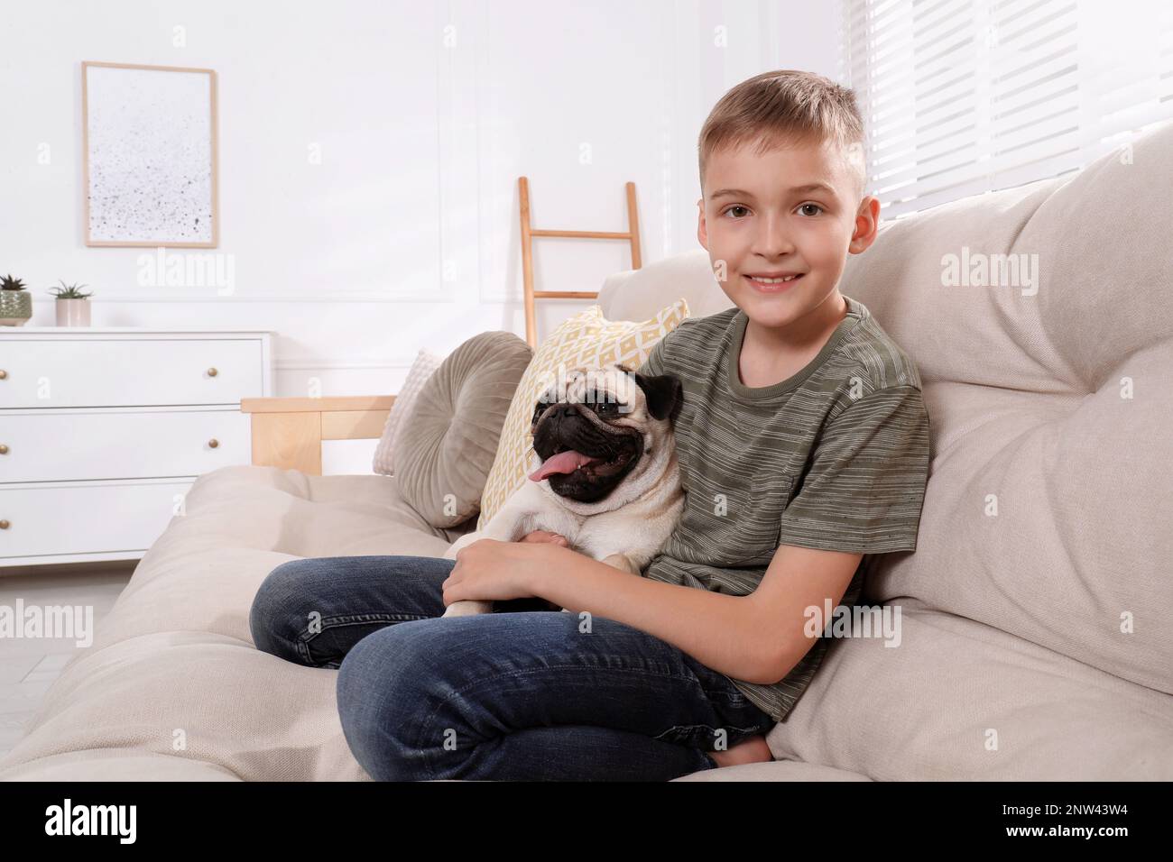 Boy with his cute pug on sofa at home. Space for text Stock Photo - Alamy
