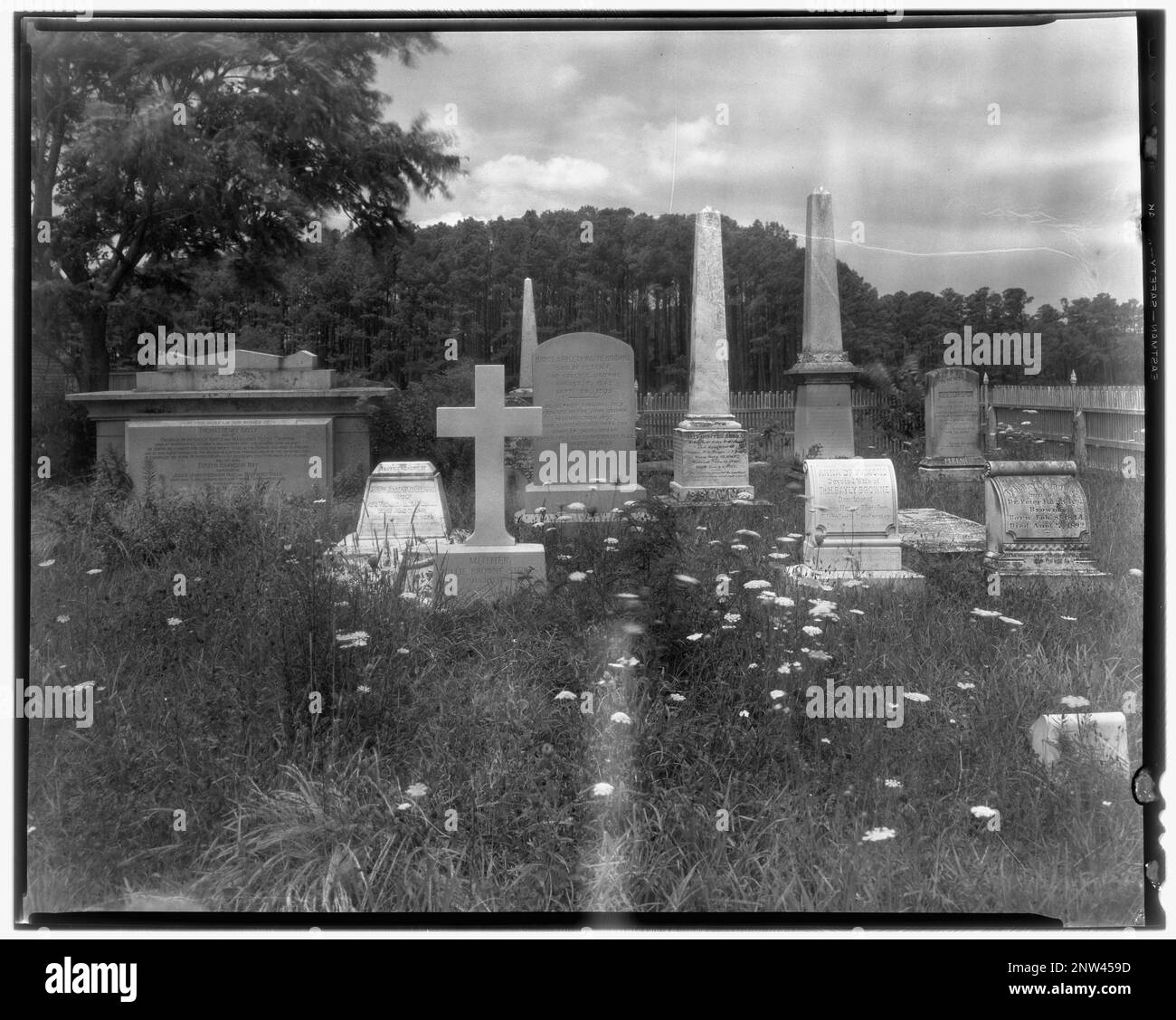 Mt. Custis, vic., County, Virginia. Carnegie Survey