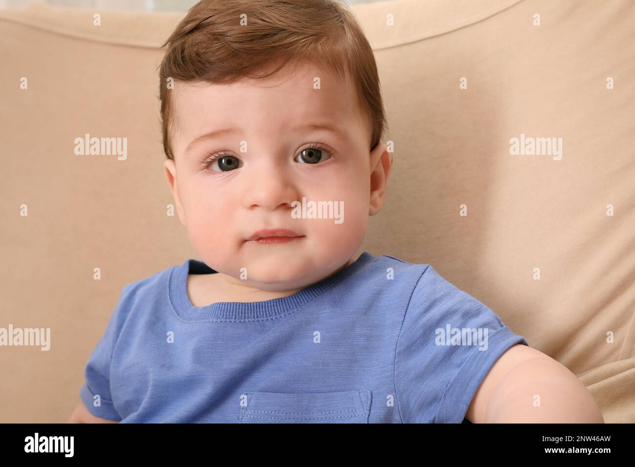 Cute baby boy sitting in armchair at home Stock Photo Alamy