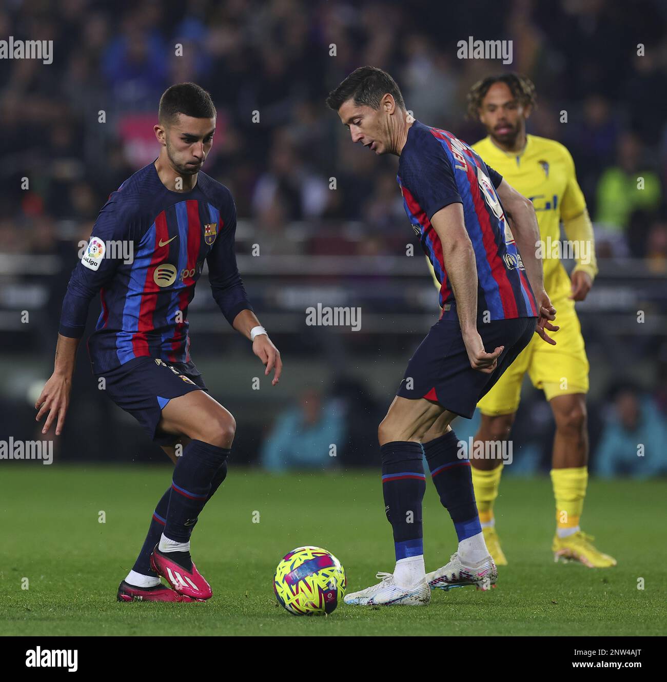 Barcelona, Spain. 19th Feb, 2023. Robert Lewandowski and Ferran Torres of Barcelona during the La Liga football match between Barcelona and Cadiz in Estadio Camp Nou in Barcelona, Spain. Barcelona won the game 2-0 (goals by Sergi Roberto 43; Robert Lewandowski 45 1) (Foto: Sports Press Photo/Sports Press Photo/C - ONE HOUR DEADLINE - ONLY ACTIVATE FTP IF IMAGES LESS THAN ONE HOUR OLD - Alamy) Credit: SPP Sport Press Photo. /Alamy Live News Stock Photo