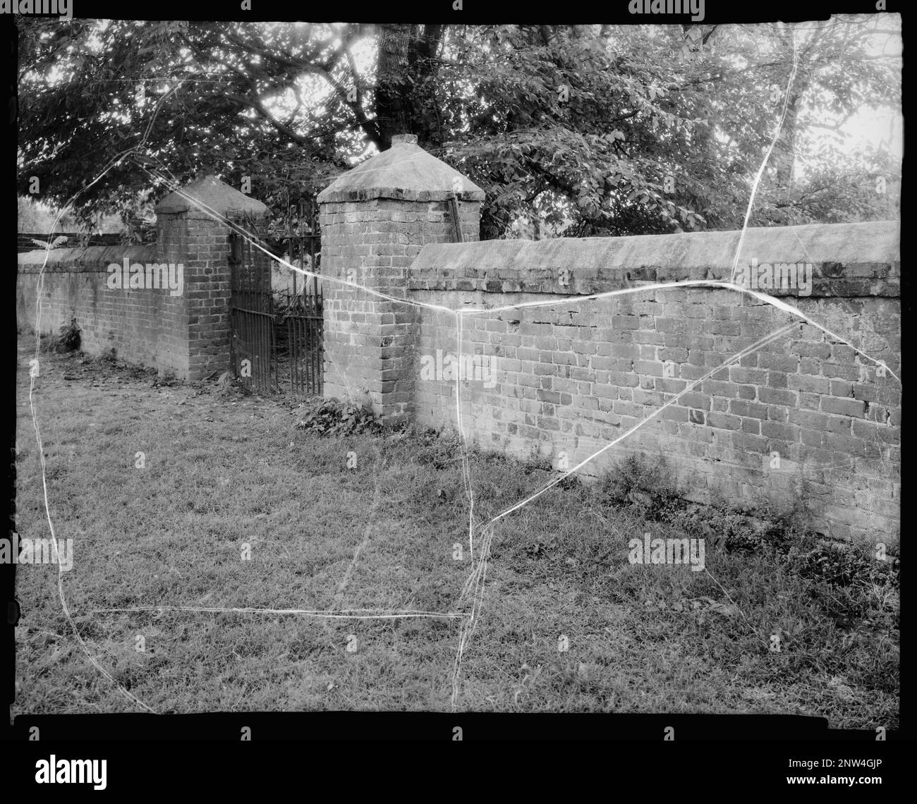 Four Mile Tree, Spring Grove vic., Surry County, Virginia. Carnegie