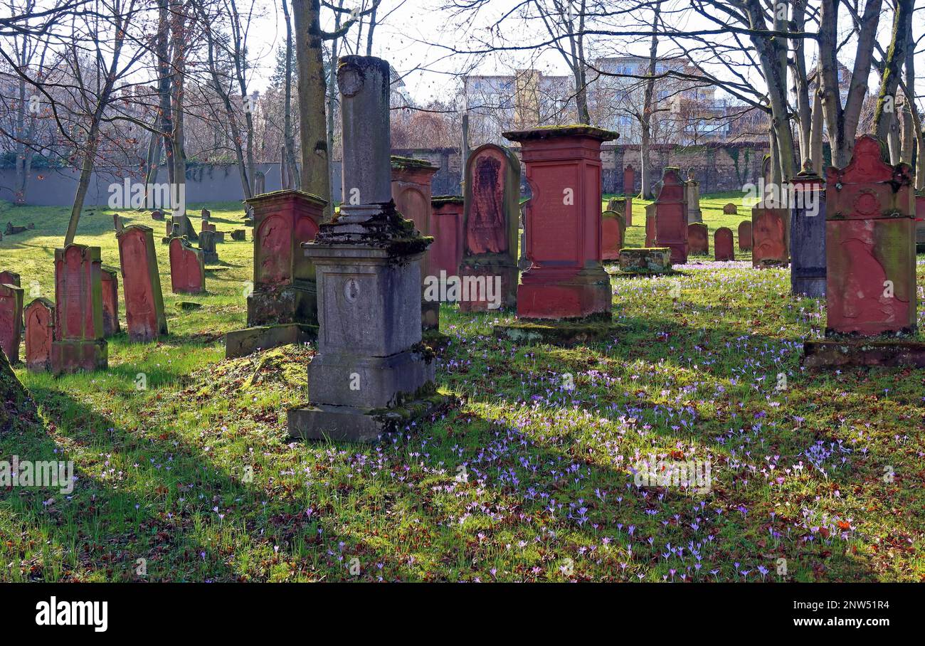 SHUM Old Medieval Jewish cemetery, Judensand , Mombacher Strasse. 61, 55122 Mainz, Rhineland-Palatinate, Germany Stock Photo