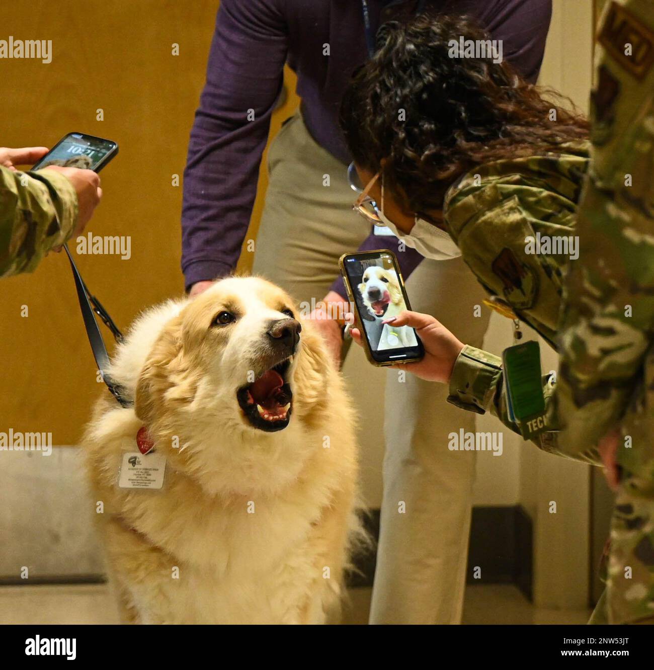 U.S. Air Force Airman 1st Class Josselyn Gabriela Gonzalez Munoz, 633d ...