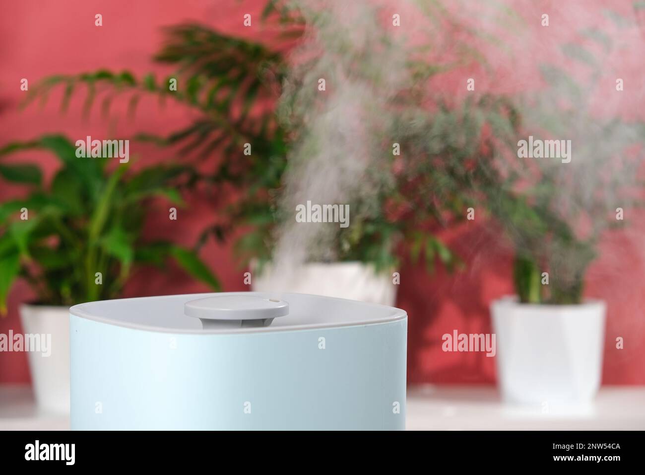 The ultrasonic humidifier releases cold steam. Care and hydration of