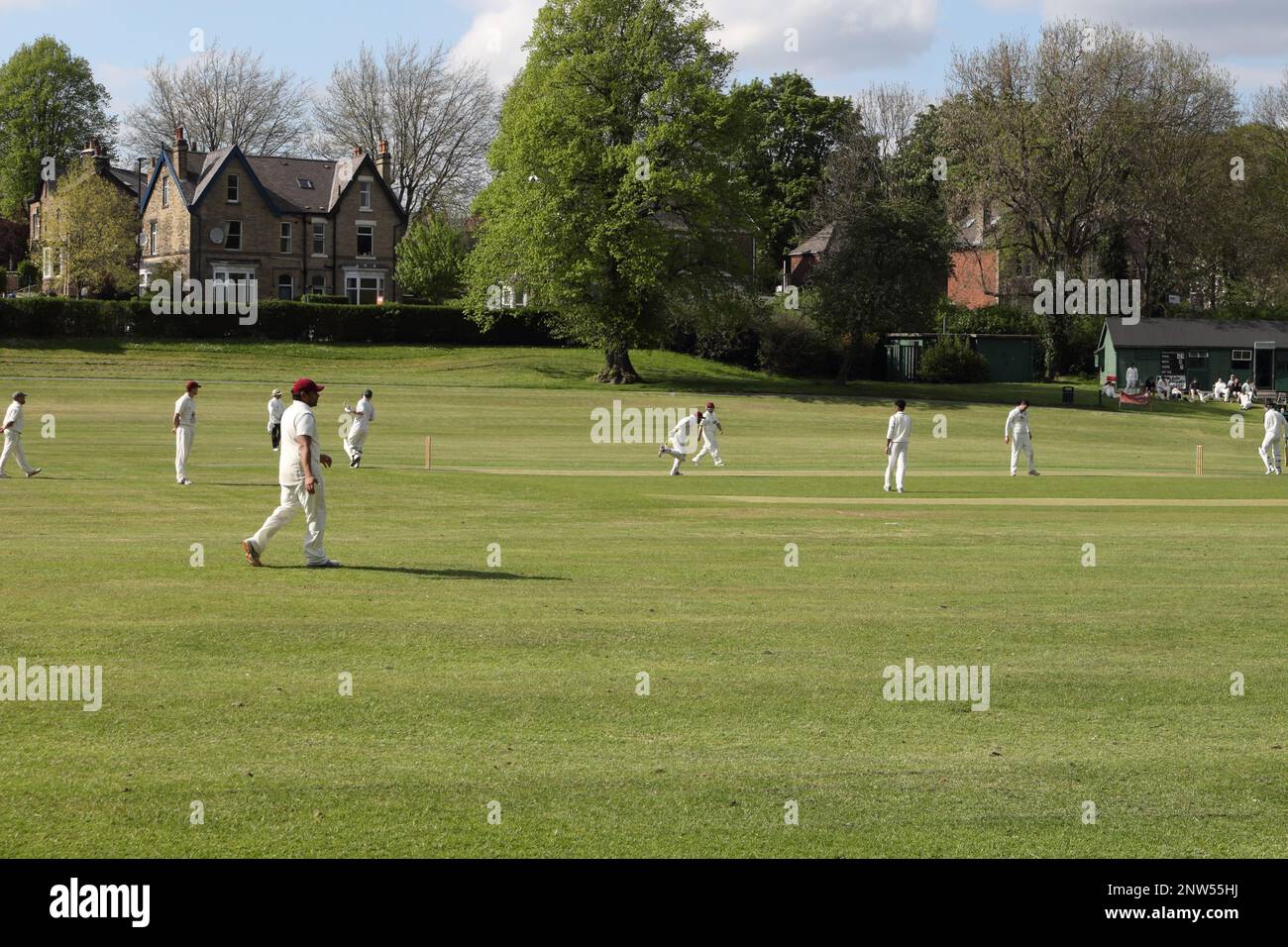 Local Cricket match in Millhouses Park Sheffield England Stock Photo