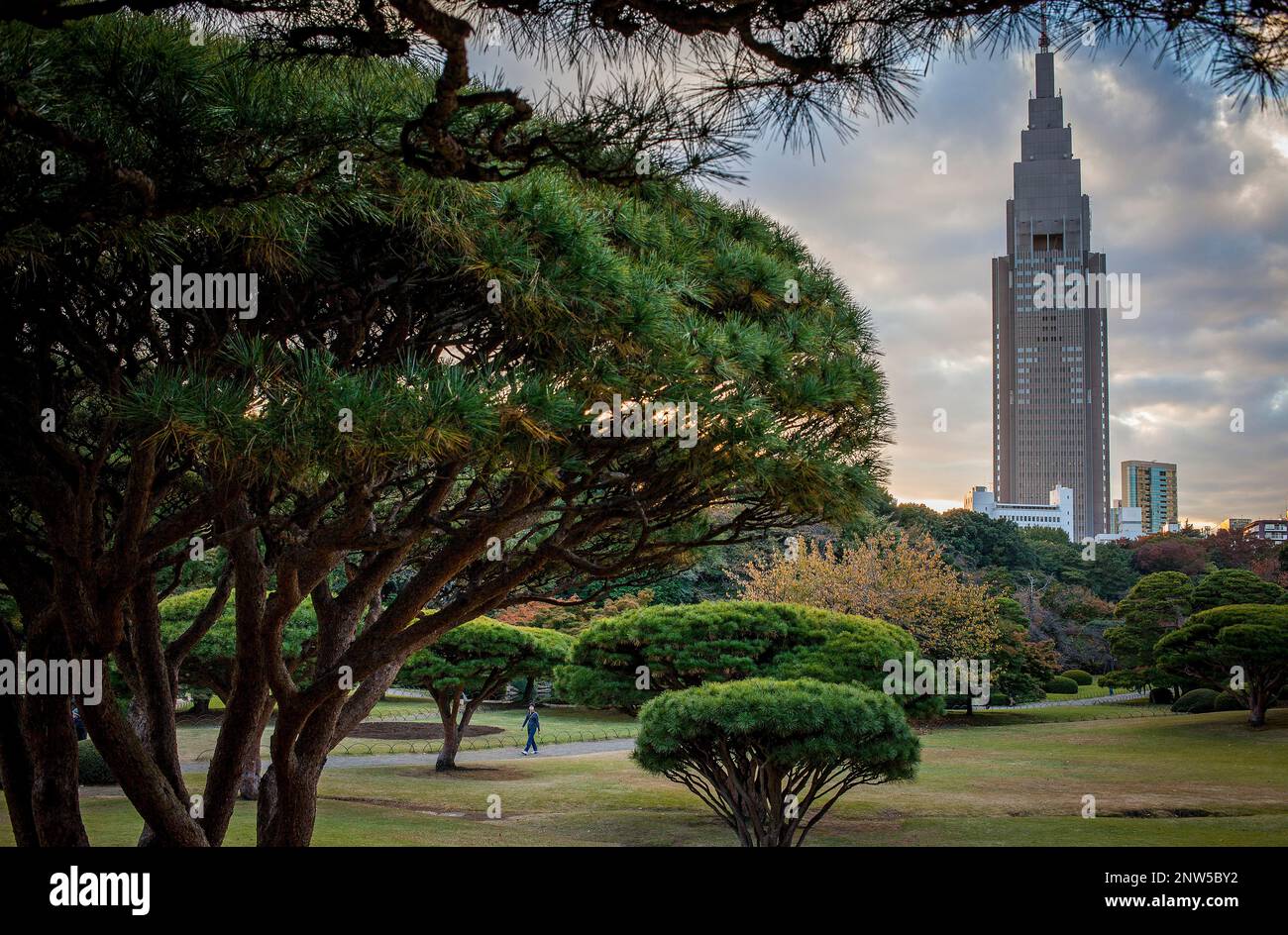 Shinjuku Gyoen park, Tokyo, Japan Stock Photo - Alamy