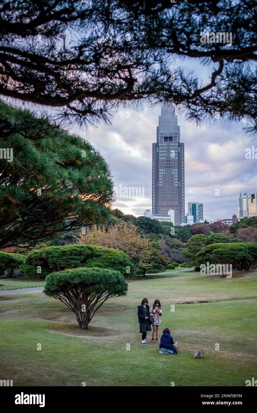 Shinjuku Gyoen park, Tokyo, Japan Stock Photo - Alamy