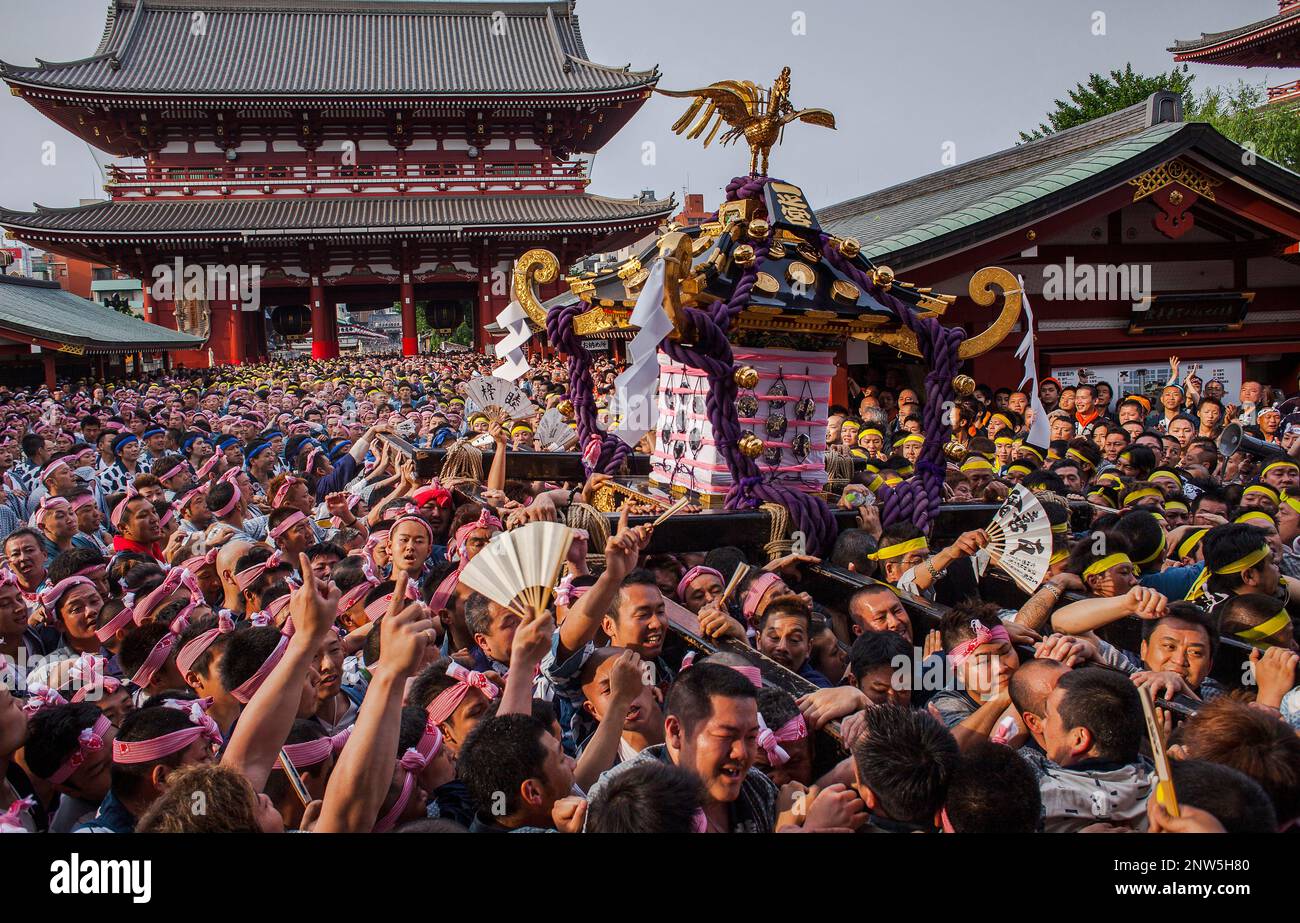 Sanja Matsuri Festival Sensoji Temple Asakusa Jinja Asakusa Tokyo sanja-matsuri-festival-sensoji-temple-asakusa-jinja-asakusa-tokyo