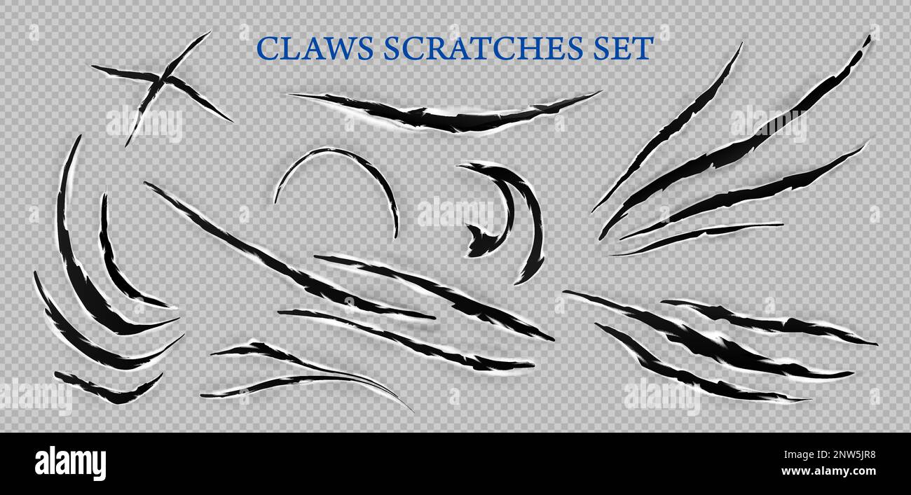 Realistic claws scratches transparent set with text and isolated curvy holes in fabric with ragged edges vector illustration Stock Vector
