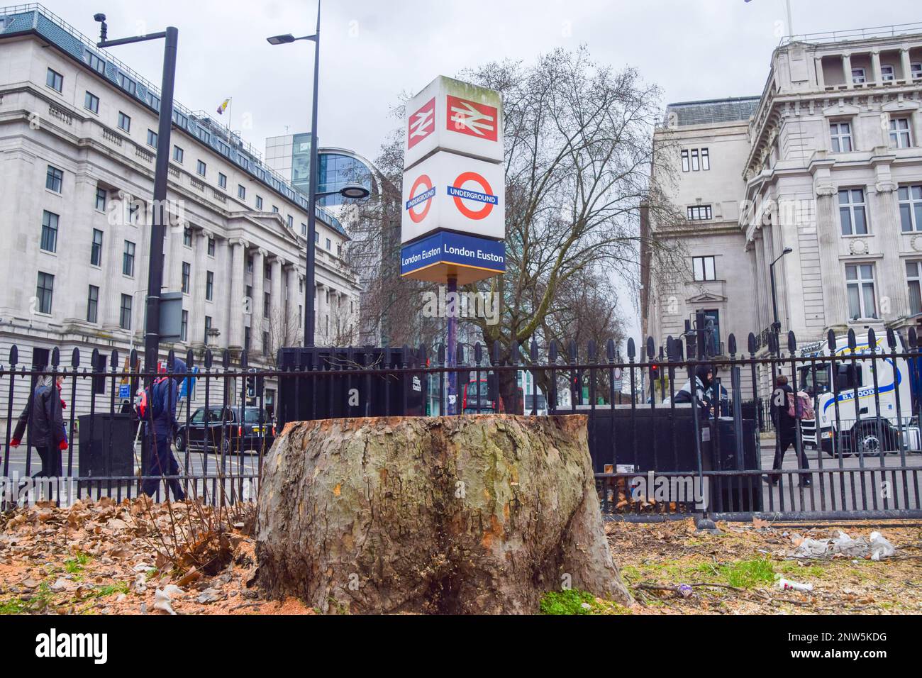 Most trees, some that are very old, around the taxi rank at Euston