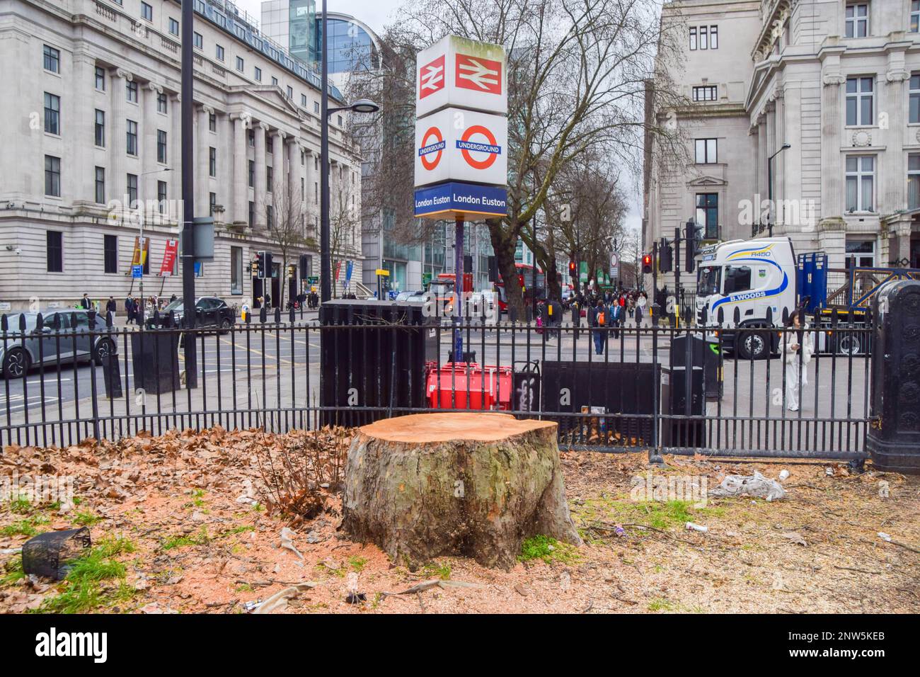 Most trees, some that are very old, around the taxi rank at Euston