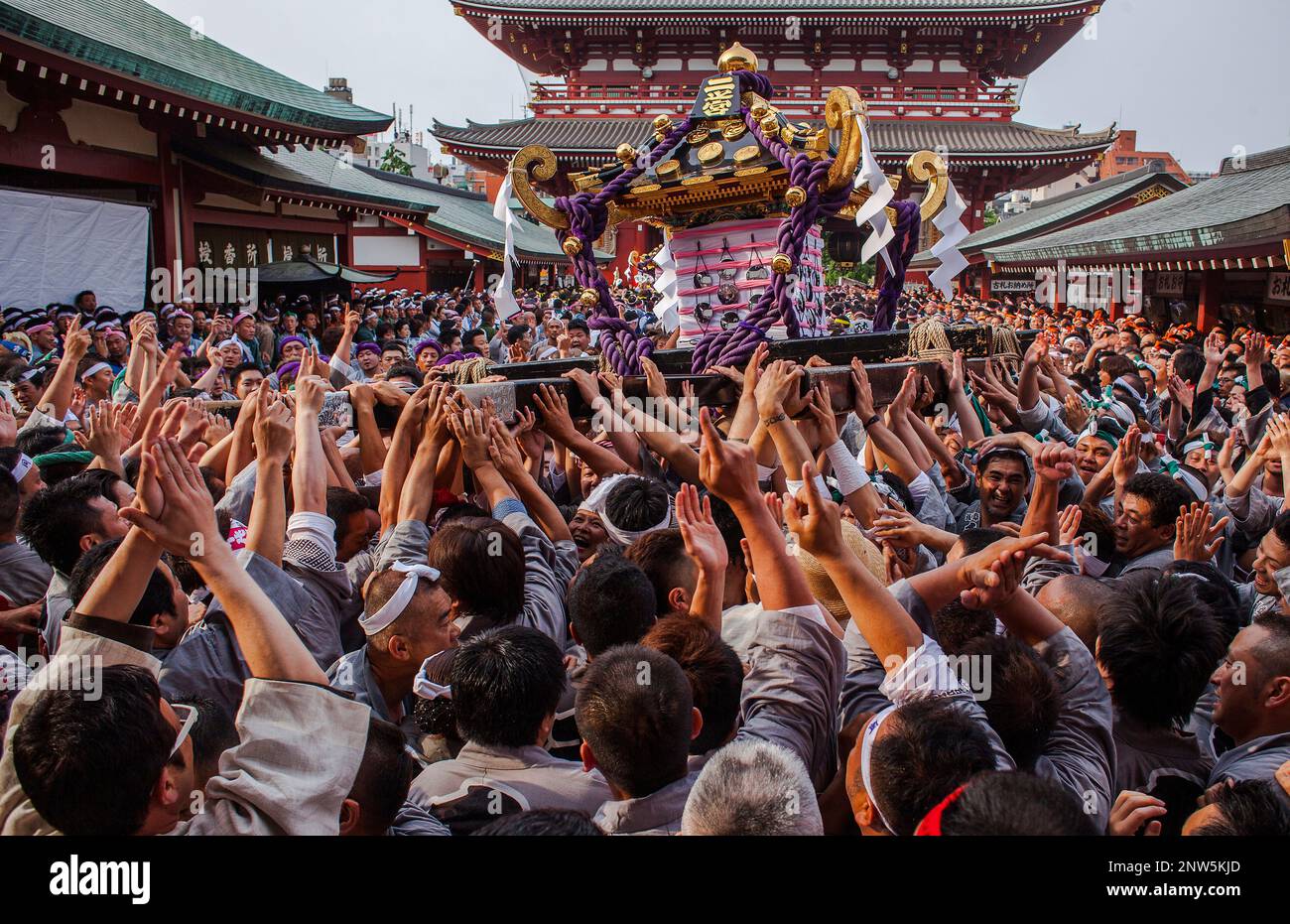 Sanja Matsuri Festival Sensoji Temple Asakusa Jinja Asakusa Tokyo sanja-matsuri-festival-sensoji-temple-asakusa-jinja-asakusa-tokyo