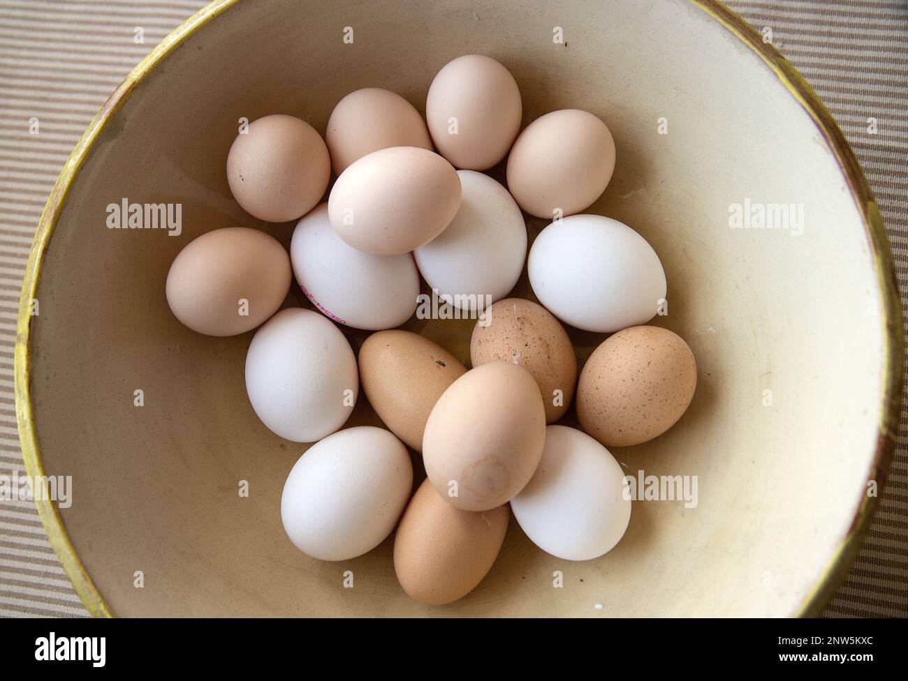 variety of different colored farm fresh eggs in a bowl Stock Photo